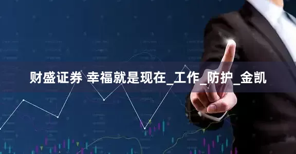 财盛证券 幸福就是现在_工作_防护_金凯