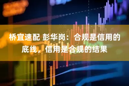 桥宜速配 彭华岗：合规是信用的底线，信用是合规的结果